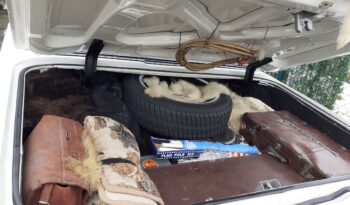 1964  Kupé Ford Thunderbird full